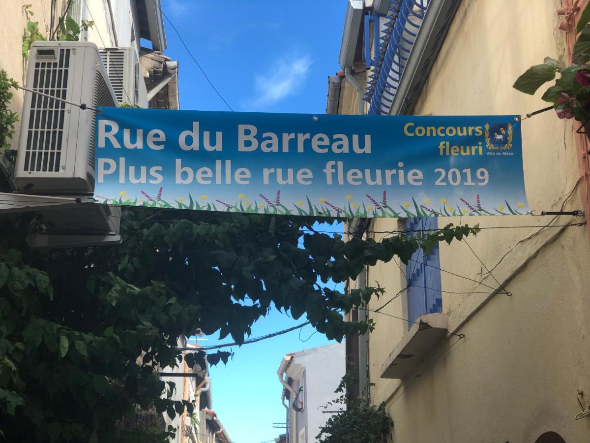 Chez Le Tit * Meze